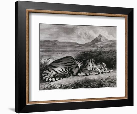 Tigre royal-Eugene Delacroix-Framed Giclee Print