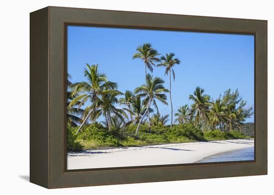 Tihiti beach, Elbow Cay, Abaco Islands, Bahamas, West Indies, Central America-Jane Sweeney-Framed Premier Image Canvas