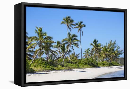 Tihiti beach, Elbow Cay, Abaco Islands, Bahamas, West Indies, Central America-Jane Sweeney-Framed Premier Image Canvas