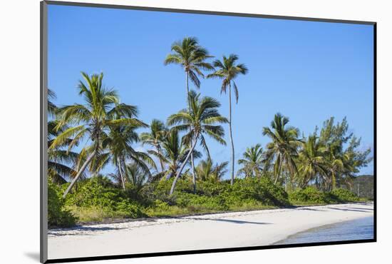 Tihiti beach, Elbow Cay, Abaco Islands, Bahamas, West Indies, Central America-Jane Sweeney-Mounted Photographic Print