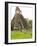 Tikal National Park (Parque Nacional Tikal), UNESCO World Heritage Site, Guatemala, Central America-Michael DeFreitas-Framed Photographic Print