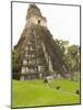 Tikal National Park (Parque Nacional Tikal), UNESCO World Heritage Site, Guatemala, Central America-Michael DeFreitas-Mounted Photographic Print