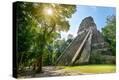Stretched Canvas Print