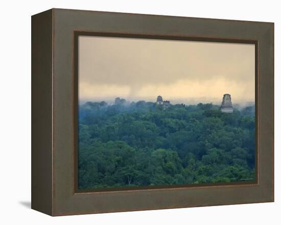 Tikal Pyramid Ruins and Rainforest, Dawn, Guatemala-Michele Falzone-Framed Premier Image Canvas