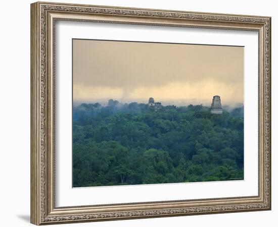 Tikal Pyramid Ruins and Rainforest, Dawn, Guatemala-Michele Falzone-Framed Photographic Print