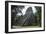 Tikal Temple 5, pre-Colombian Maya civilisation, Tikal, UNESCO World Heritage Site, Guatemala-Peter Groenendijk-Framed Photographic Print