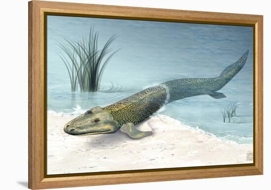 Tiktaalik Prehistoric Fish, Artwork-National Science Foundation-Framed Premier Image Canvas