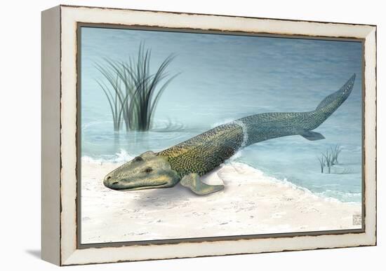 Tiktaalik Prehistoric Fish, Artwork-National Science Foundation-Framed Premier Image Canvas