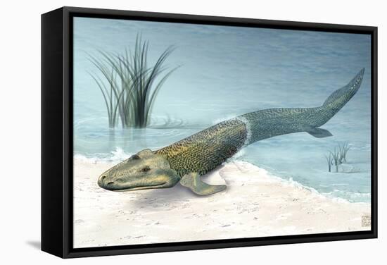 Tiktaalik Prehistoric Fish, Artwork-National Science Foundation-Framed Premier Image Canvas