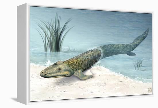 Tiktaalik Prehistoric Fish, Artwork-National Science Foundation-Framed Premier Image Canvas