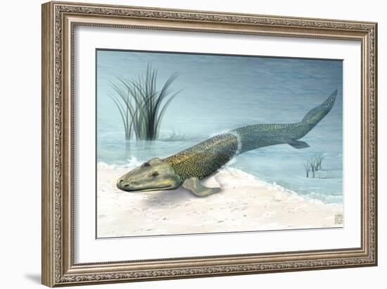 Tiktaalik Prehistoric Fish, Artwork-National Science Foundation-Framed Photographic Print