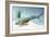 Tiktaalik Prehistoric Fish, Artwork-National Science Foundation-Framed Photographic Print