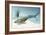 Tiktaalik Prehistoric Fish, Artwork-National Science Foundation-Framed Photographic Print