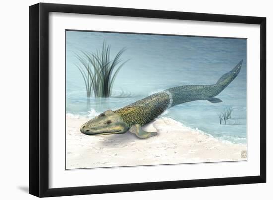 Tiktaalik Prehistoric Fish, Artwork-National Science Foundation-Framed Photographic Print