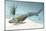 Tiktaalik Prehistoric Fish, Artwork-National Science Foundation-Mounted Photographic Print