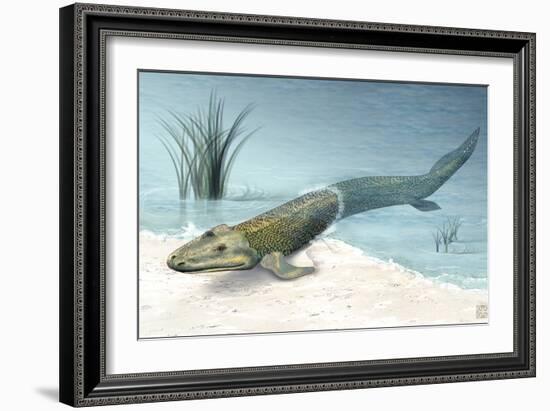 Tiktaalik Prehistoric Fish, Artwork-National Science Foundation-Framed Photographic Print