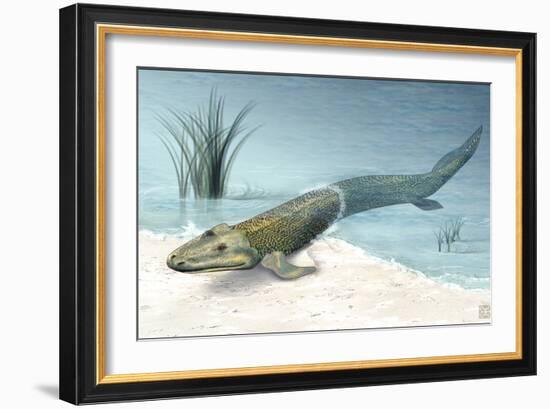 Tiktaalik Prehistoric Fish, Artwork-National Science Foundation-Framed Photographic Print