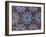 Tile Inside Topkapi Palace, Istanbul, Turkey-Joe Restuccia III-Framed Photographic Print