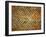 Tile Walls of Tile Museum, Karatay, Turkey-Joe Restuccia III-Framed Photographic Print