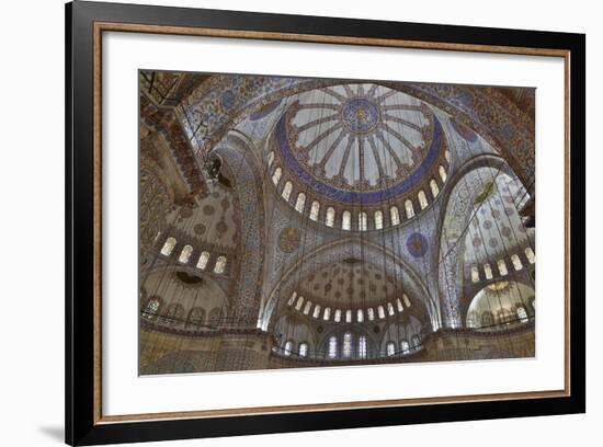 Tile Work in the Blue Mosque, Istanbul Old City, Turkey-Darrell Gulin-Framed Photographic Print