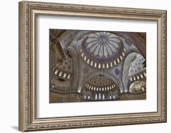 Tile Work in the Blue Mosque, Istanbul Old City, Turkey-Darrell Gulin-Framed Photographic Print