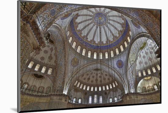 Tile Work in the Blue Mosque, Istanbul Old City, Turkey-Darrell Gulin-Mounted Photographic Print