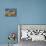 Tiled Roofs, Puerto Vallarta, Jalisco State, Mexico, North America-Richard Cummins-Photographic Print displayed on a wall