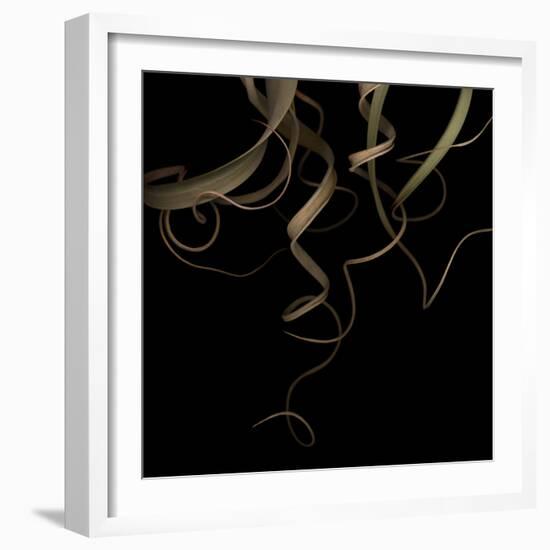 Tillandsia 1 - Air Plant-Doris Mitsch-Framed Photographic Print