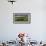 Tilled fields, Morocco-Art Wolfe-Framed Photographic Print displayed on a wall