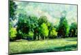 Photographic Print