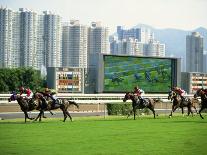 Horse Racing in Hong Kong, China-Tim Hall-Photographic Print