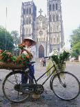 Woman Selling Flowers off Her Bicycle, Hanoi, Vietnam, Indochina, Asia-Tim Hall-Photographic Print