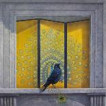 Peregrine Falcon-Tim Hayward-Giclee Print