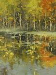Country Reflections-Tim Howe-Giclee Print