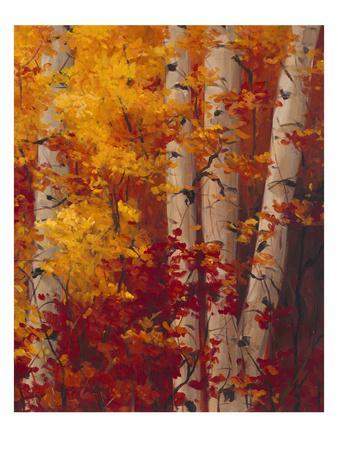 36/"x36/" NEW REFLECTION by TIM HOWE FALL ABSTRACT CANVAS