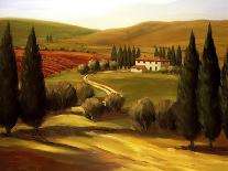 Villa in the Vinyards of Tuscany-Tim Howe-Giclee Print