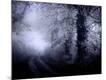 Premium Photographic Print