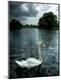 Premium Photographic Print
