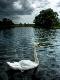 Premium Photographic Print