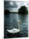 Premium Photographic Print