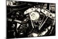 Premium Photographic Print