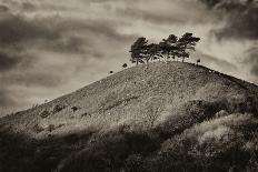 Colmers Hill-Tim Kahane-Photographic Print