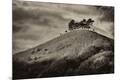 Premium Photographic Print