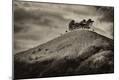 Premium Photographic Print