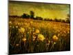 Photographic Print
