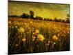 Premium Photographic Print