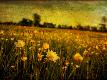 Premium Photographic Print