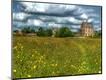 Photographic Print