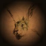 Listening Hare-Tim Kahane-Photographic Print