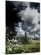 Premium Photographic Print